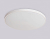 Накладной светильник Ambrella Light FZ FZ1202