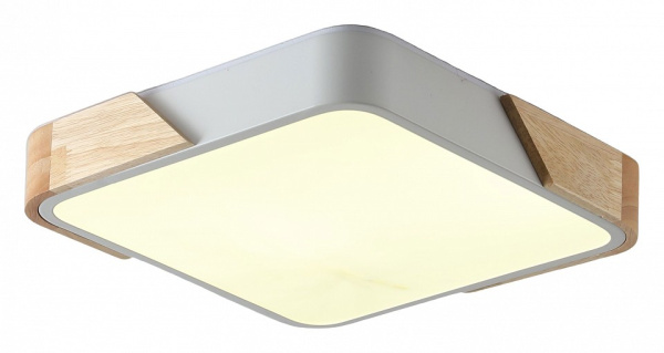 Накладной светильник Zortes Alberro ZRS.01285.48