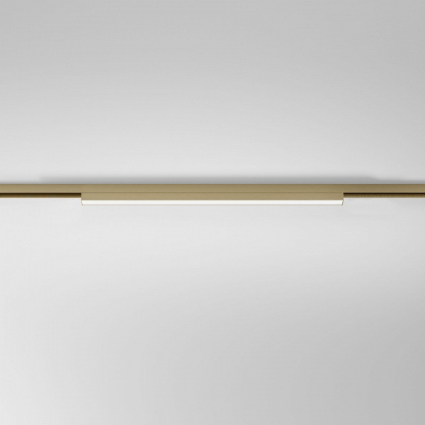 Накладной светильник Elektrostandard  85527/01