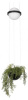 Подвесной светильник Loft it Jardin 10121/B