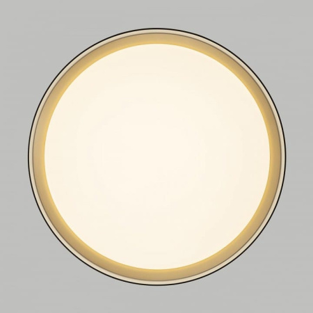 Накладной светильник Citilux BOSS CL751351G