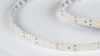Лента светодиодная DesignLed DSG2196 00-00000528