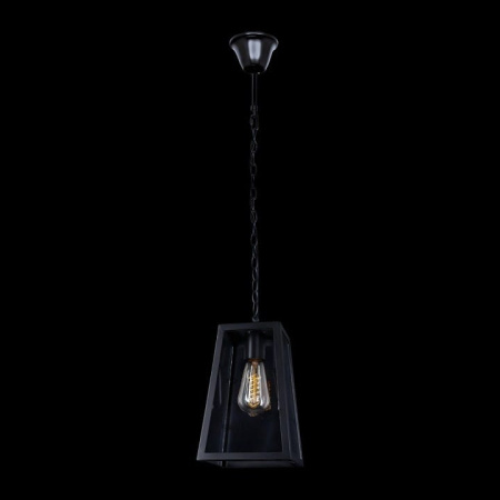 Подвесной светильник Loft it Modern Filament LOFT1127