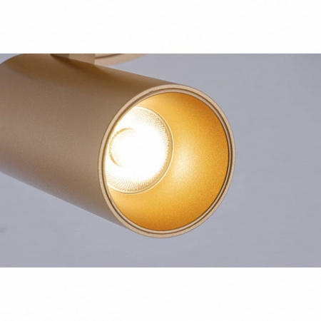 Спот iLedex Technical PLUM 100 BR