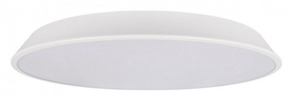 Накладной светильник Loft it Brim 10226 White