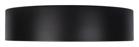 Накладной светильник Loft it Coin 10202 Black