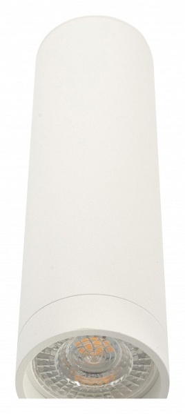 Накладной светильник Denkirs DK2000 DK2052-WH