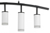 Подвесной светильник Lightstar Rullo LR7353638620