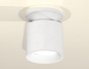 Накладной светильник Ambrella Light XS XS7401062