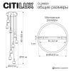 Подвесная люстра Citilux LASS CL249031