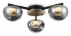 Потолочная люстра Ambrella Light LH LH12006