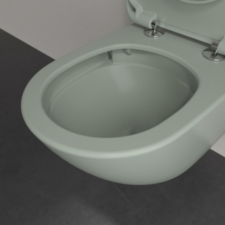 Подвесной унитаз Villeroy&Boch Antao 4674T0R8 утренний зеленый