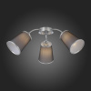 Потолочная люстра EVOLUCE Maleonte SLE103002-03