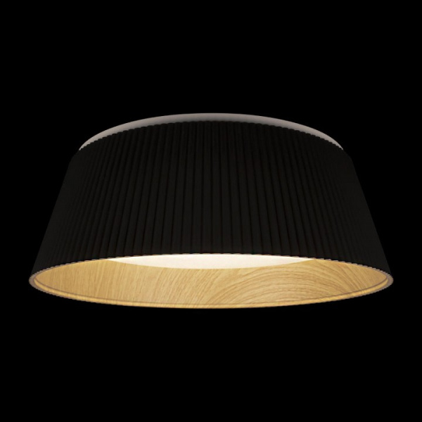 Накладной светильник Loft it Evans 10224 Black