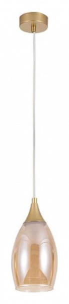 Подвесной светильник Arte Lamp Barry A7951SP-1GO