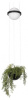 Подвесной светильник Loft it Jardin 10121/B