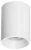 Накладной светильник Lightstar Rullo 213436