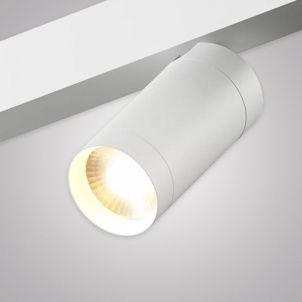 Светильник на штанге AM-Group SMART CYLINDER AM527 WH-220V-20W SMART