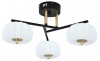 Люстра на штанге Escada Halma 10301/3LED