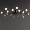 Потолочная люстра Freya Celebrity FR5242CL-16B