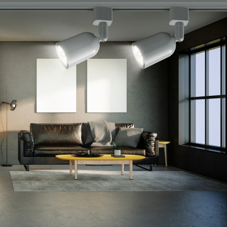 Светильник на штанге Эра TR41-GU10 WH