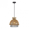Подвесной светильник Arte Lamp Woodstock A7070SP-1BK