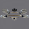 Потолочная люстра ILLUMICO  IL0300-5CSQ-79 BK AB