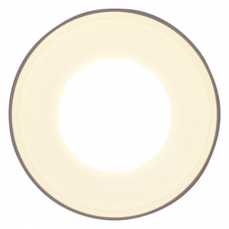 Накладной светильник Ambrella Light TN TN3202