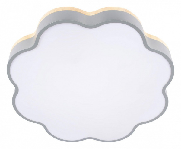 Накладной светильник Loft it Axel 10225/36 Grey
