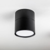 Накладной светильник Lightstar Acuto 215887