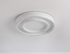 Накладной светильник Ambrella Light FL FL5821