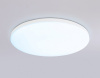 Накладной светильник Ambrella Light FZ FZ2001