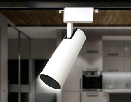 Светильник на штанге Ambrella Light GL GL5852