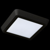 Накладной светильник Lightstar Urbano 216872