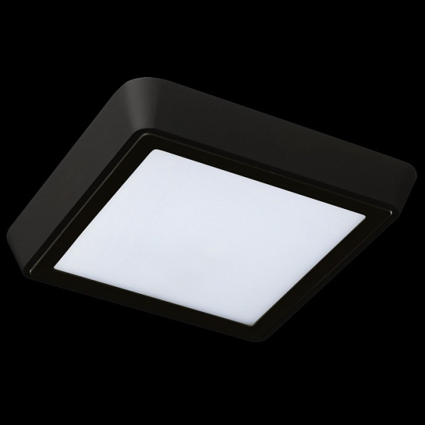 Накладной светильник Lightstar Urbano 216872