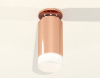 Накладной светильник Ambrella Light XS XS6326082