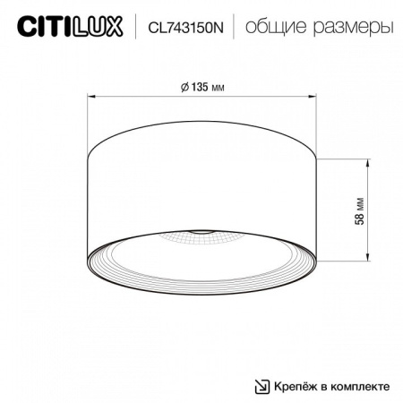 Накладной светильник Citilux Rover CL743150N