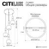 Подвесная люстра Citilux LASS CL249021