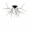 Потолочная люстра Freya Iris FR5067CL-27B