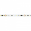 Лента светодиодная Arlight DMX-12-5060-60 033449