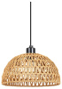 Подвесной светильник Arte Lamp BRUSHWOOD A7086SP-1BK