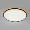 Накладной светильник Citilux NORMA CL749601