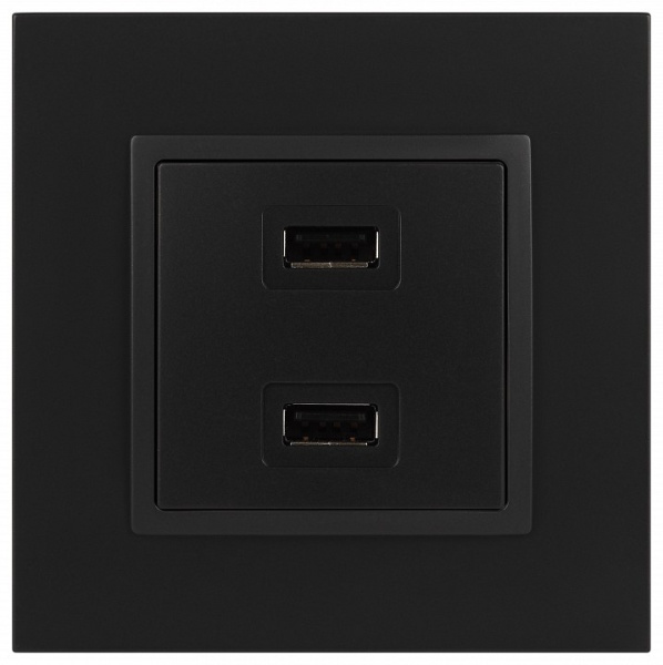 Розетка 2хUSB type A без рамки Эра Эра Elegance 14-4110-05