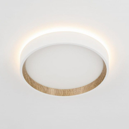 Накладной светильник Citilux Etalon CL750180