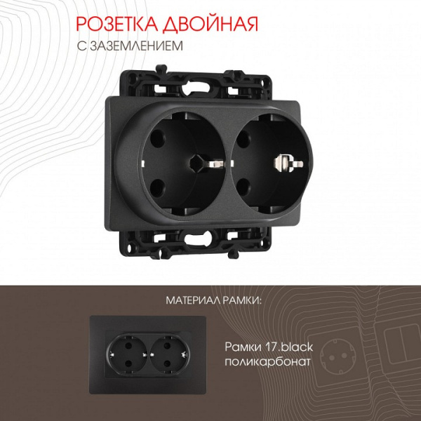 Розетка двойная с заземлением без рамки Arte Milano am-217 217.40-2.black