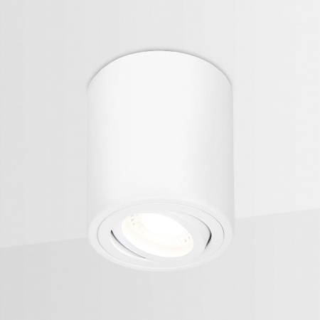 Накладной светильник Ambrella Light TN TN225