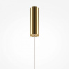 Подвесной светильник Maytoni Golden Cage MOD216PL-L10G3K