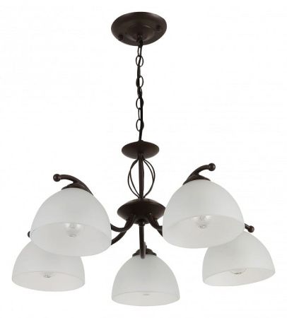 Подвесная люстра Rivoli Jackeline Б0054758