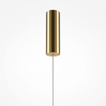 Подвесной светильник Maytoni Golden Cage MOD216PL-L10G3K