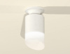 Накладной светильник Ambrella Light XS XS6301105